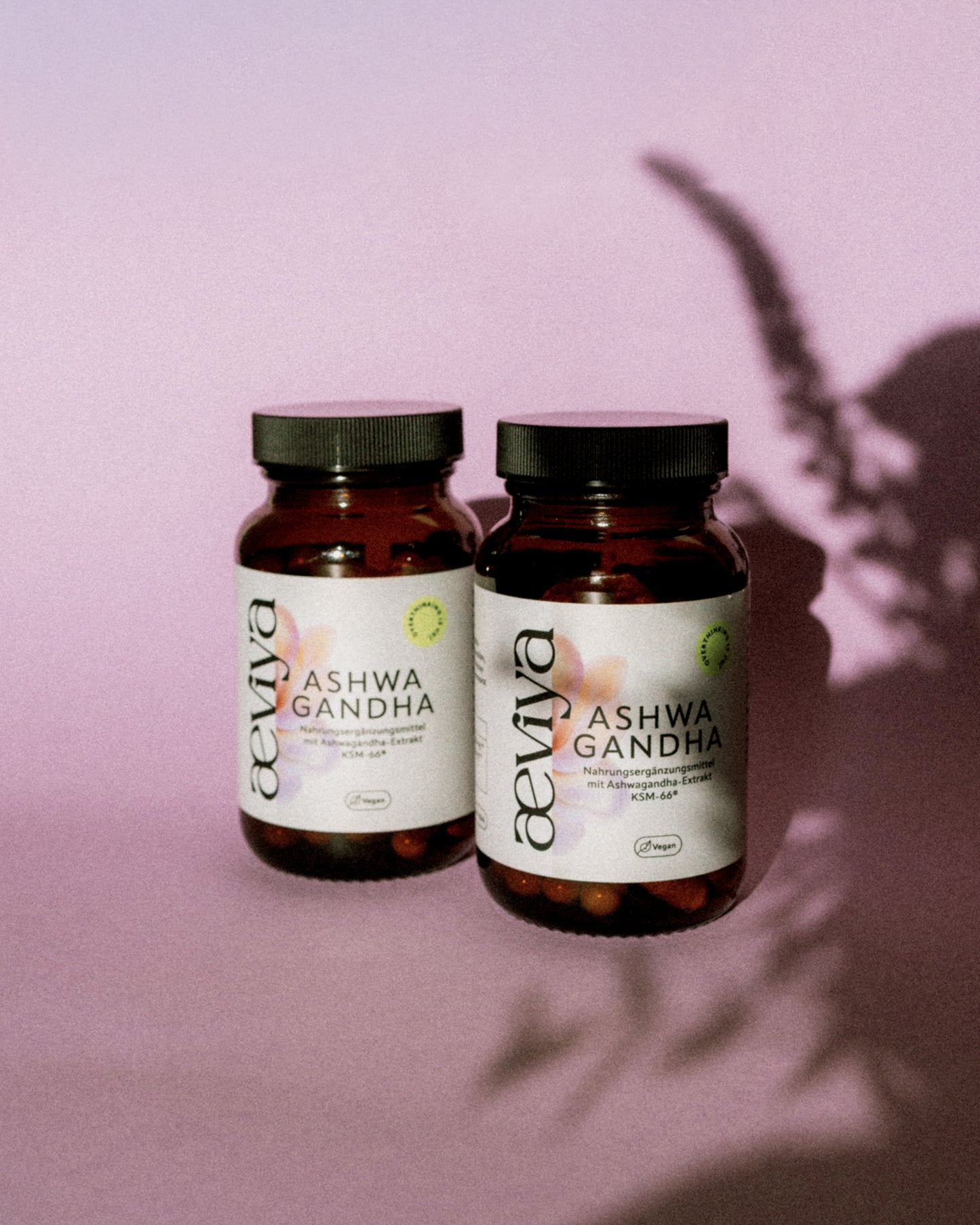 Early Bird Special: Anti Hustle Club Bundle